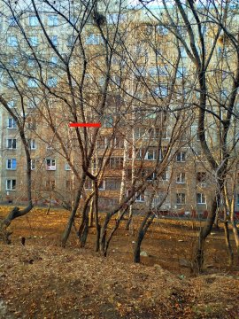 3-к квартира, 4/9 эт., 56м²