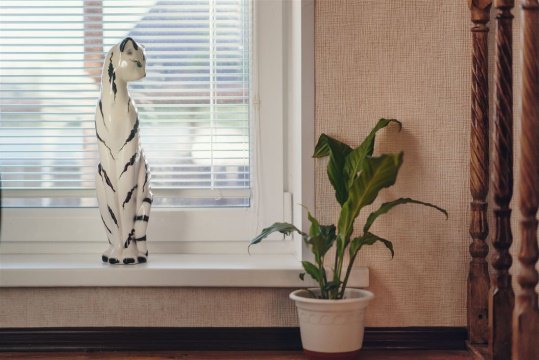 Дом 180м², участок 6 сот.